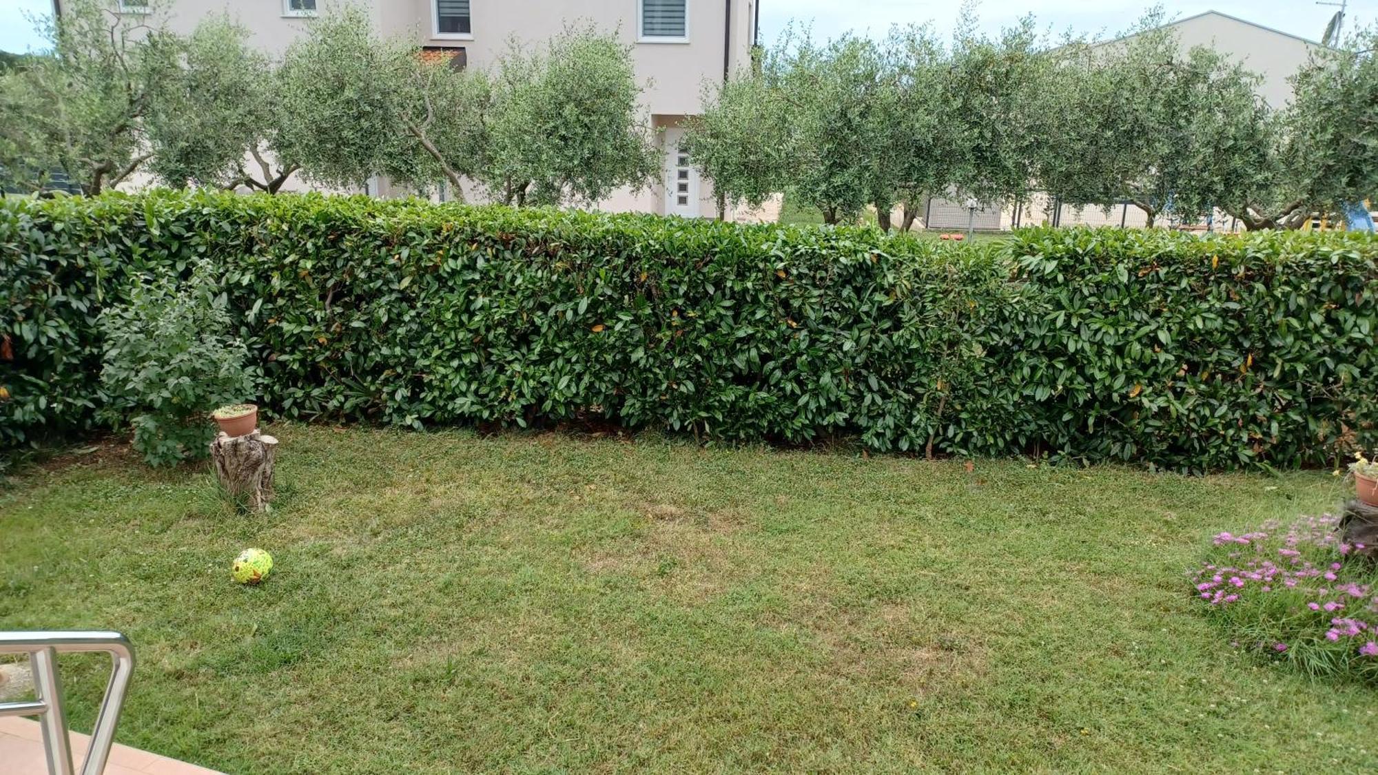 Apartments Villa Adamovic Umag Eksteriør billede